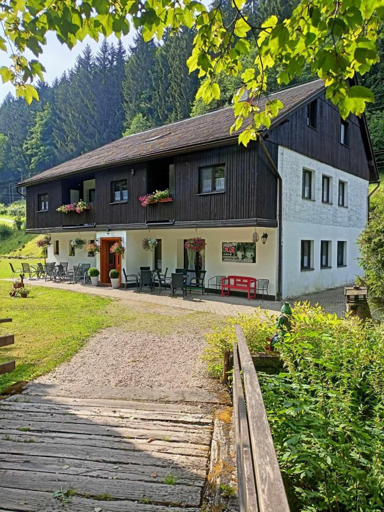 Pension Tara Teplice nad Metuji Exterior photo